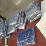 लखनऊ एयरपोर्ट पर बड़ा ड्रग्स कांड: मस्कट से आए यात्री के बैग से 8.55 करोड़ का गांजा बरामद