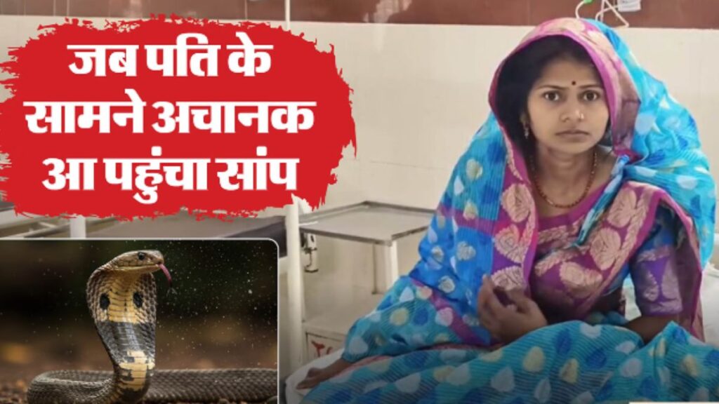 करवा चौथ पर पति के सामने आ गया जहरीला सांप, फिर पत्नी ने जो किया उसे देखकर अस्पताल में मच गया हड़कंप!