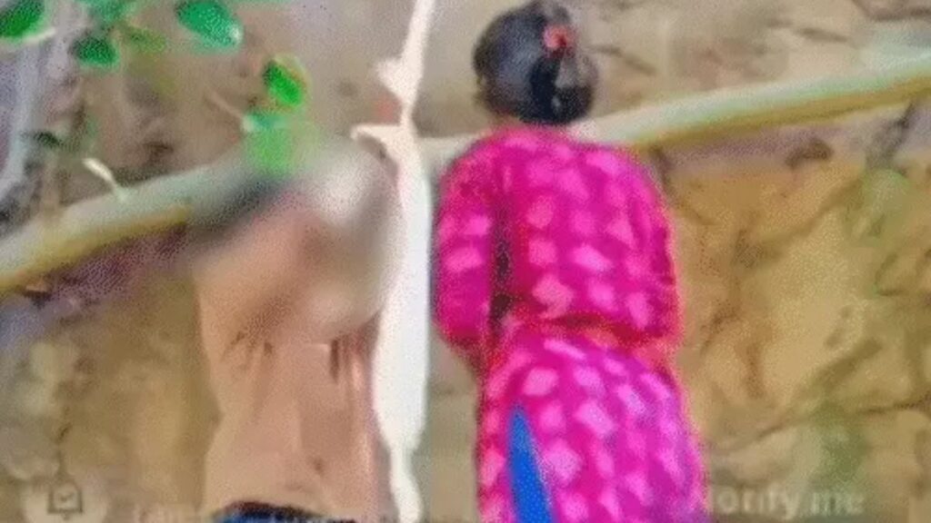 इंस्टाग्राम LIVE में दिखा ऐसा खौफनाक मंजर, 57 लोग देखते रह गए; दाहोद में प्रेमी जोड़े की मौत से मचा हड़कंप